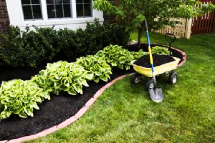 landscaping 720x480